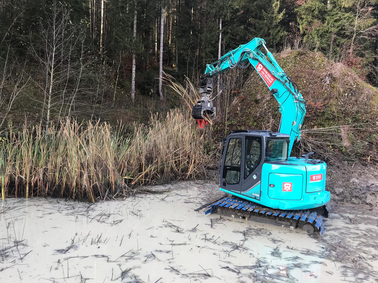 Naturschutz und Renaturierung